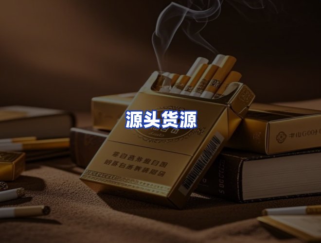 专业团队